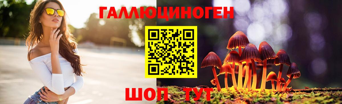 Псилоцибиновые грибы Psilocybe  Вход с VPN  Клин  Галлюциногенные грибы ЛСД 